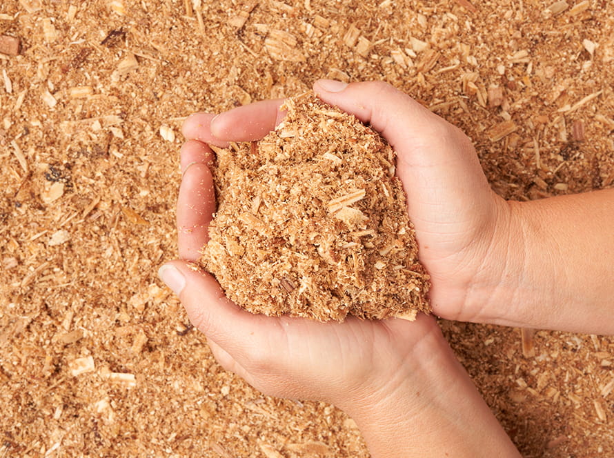 SOIL AMENDMENTS