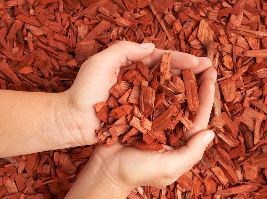STANDARD ORGANICS COLORED MULCH