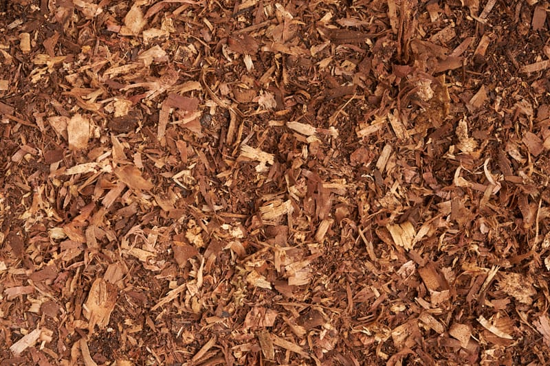 #04 NITRO SHAVINGS